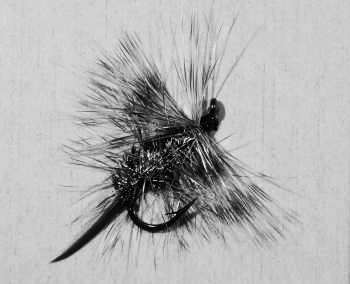 AitelfliegeKleinSW
